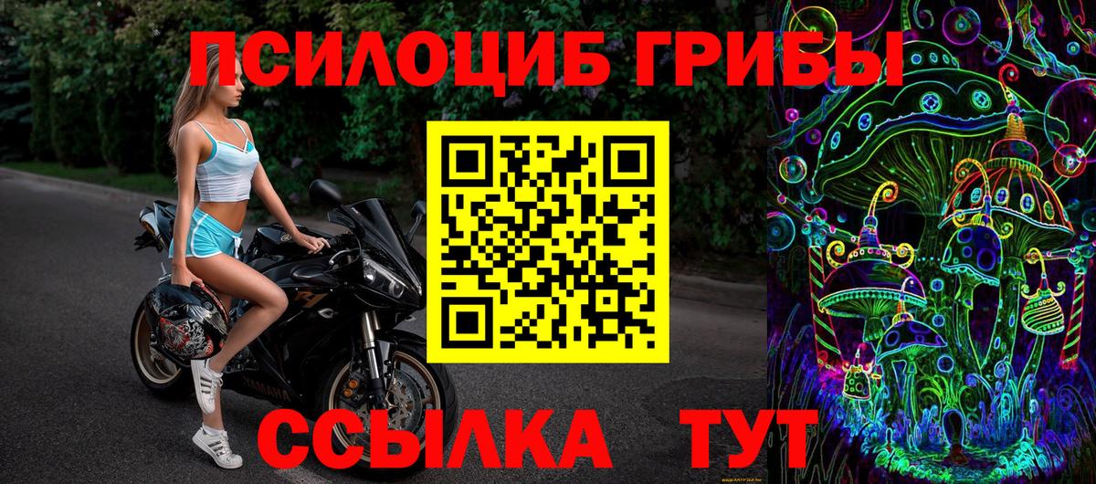 Кунгур  Псилоцибиновые грибы мухоморы  Вход с VPN  Галлюциногенные грибы Cubensis 